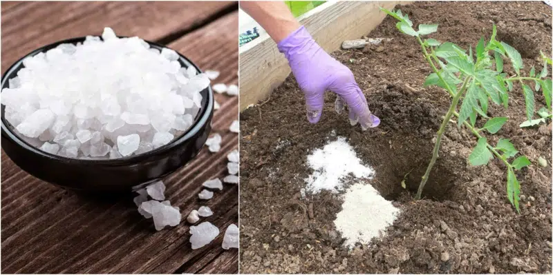 Comment trouver facilement vos produits de jardin
