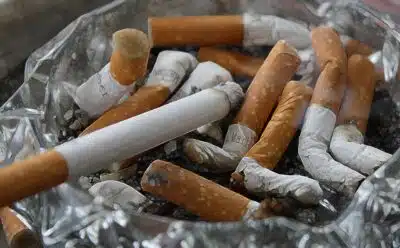 mégots de cigarettes
