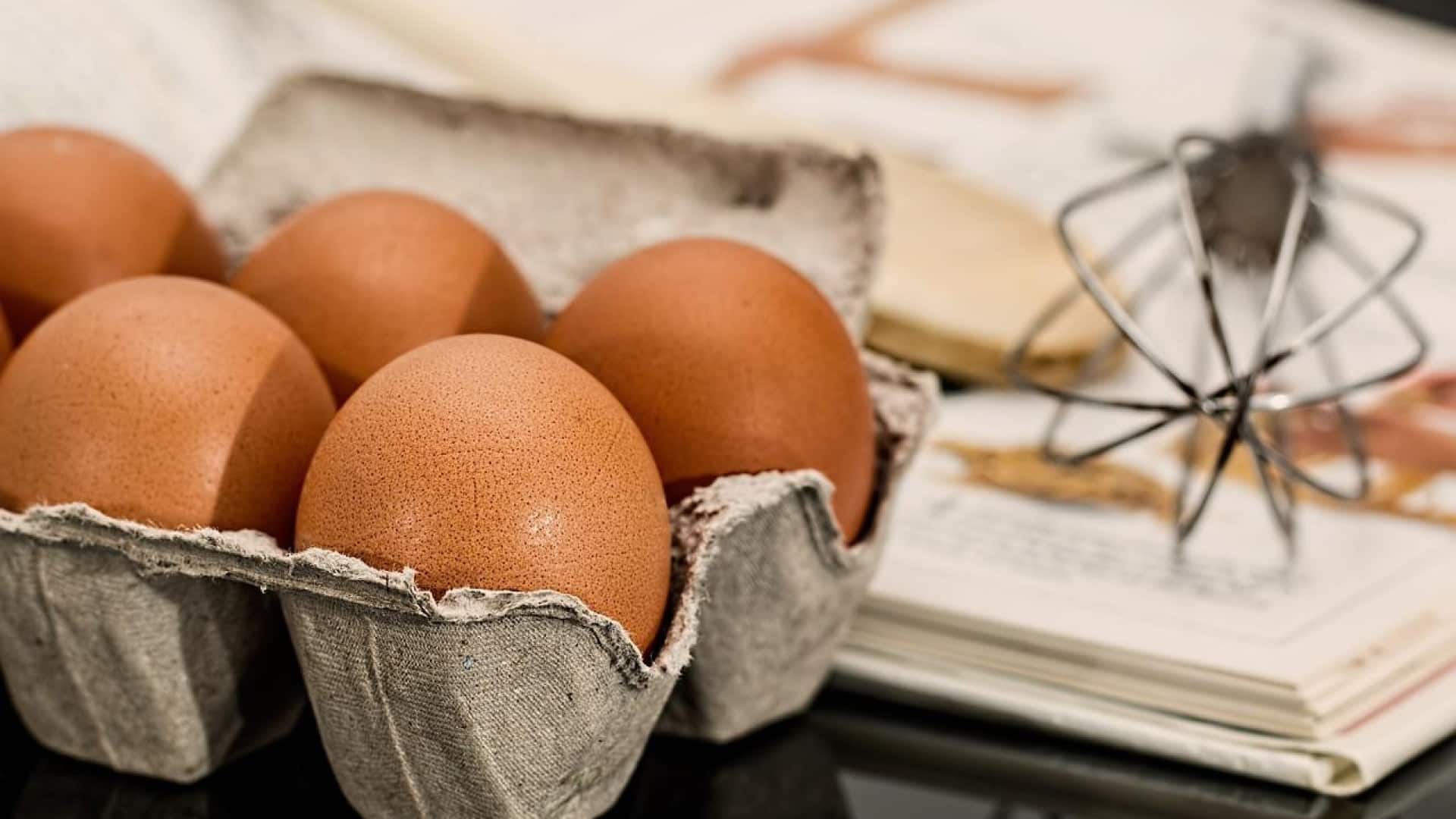 Pourquoi les oeufs frais sont-ils essentiels pour notre alimentation ?