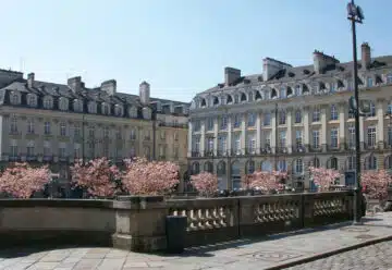 Programme immobilier sur Rennes : un marché en pleine croissance !